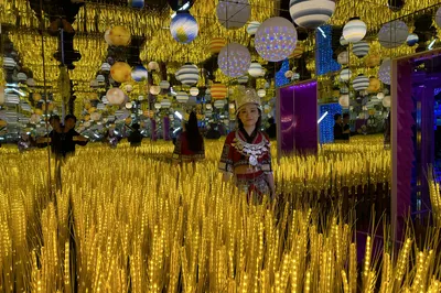 星空博物馆(大信新都汇斗门店)