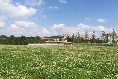 Reduta Park