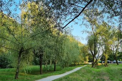 City Park Rakova Jelša
