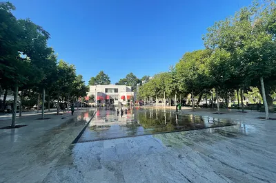 Dedaena Park