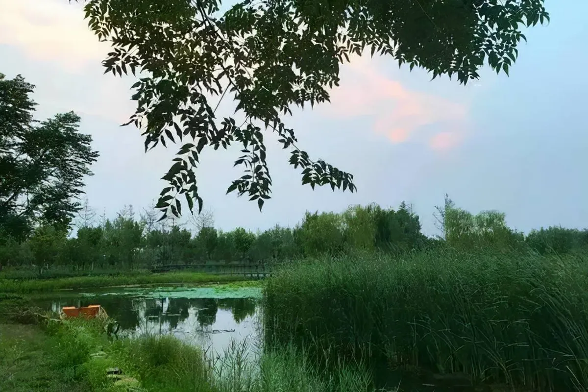 郑州近郊去哪玩？5大免费景点，周末假期好去处！