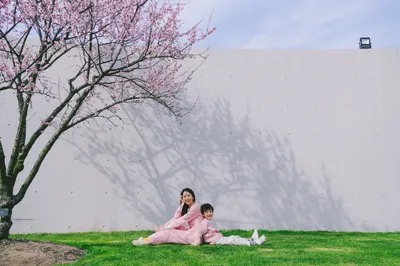 Spring Outing: A Joyful Three-Day, Two-Night Parent-Child Trip to Sheshan