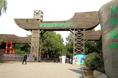 船遊溱潼國家濕地公園