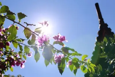 我的丽江香格里拉5日游 在丽江的最美时光