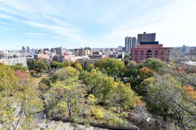 Marcus Garvey Park