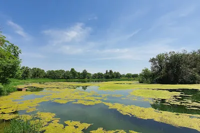 Tashkent Lakeside Golf Club