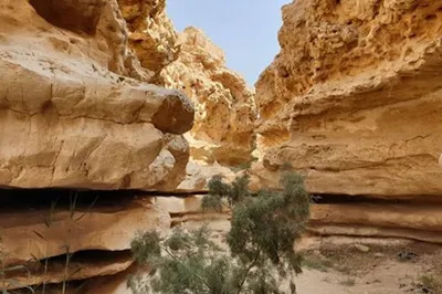 Wadi Degla Reserve