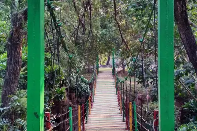 Nehru Park New Delhi