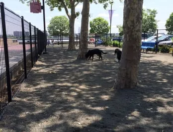 Penn's Landing Dog Park