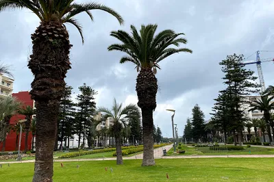 Alnada District Park