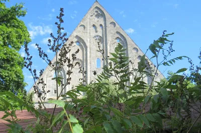 Birgitta Convent Ruins
