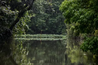 How beautiful is Jiangnan in the plum rain season? Come to Hangzhou for a relaxing escape and immerse yourself in the misty rain scenery.