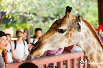 Dai Nam Zoo