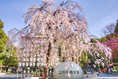 上野公園