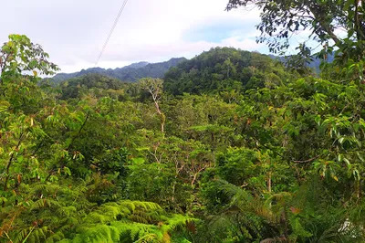 Kila World