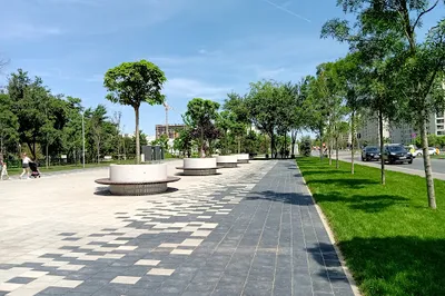 Parcul Liniei