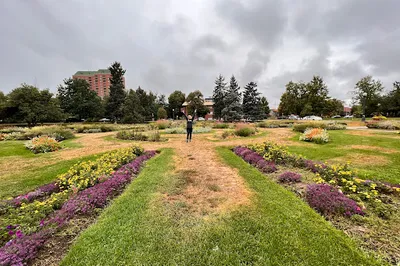 Alamo Placita Park
