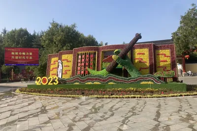 Willow Garden