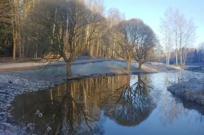 Duck Park
