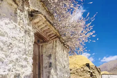 Lhasa! A City with a Unique Spirit