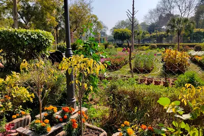 Taj Garden