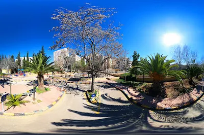 Traffic Park