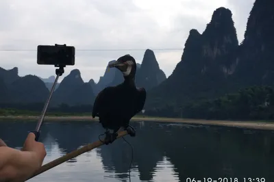 我想去桂林呀，我就去了桂林