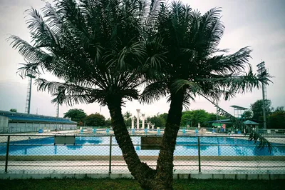 Swimming Pool (North Dagon)