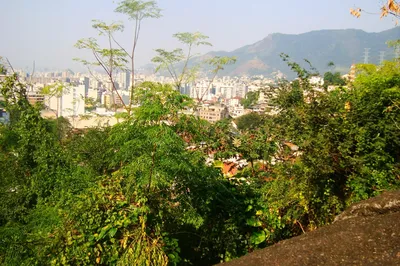 Parque Estadual Do Grajau