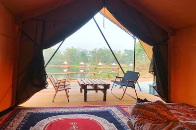 TreeFarm Coffee & Glamping