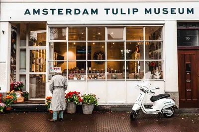 Amsterdam Tulip Museum