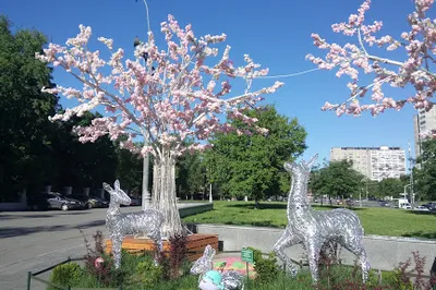 Cherkizovsky Park