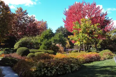 Japanese Garden