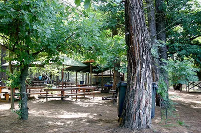Woods Paintball Range