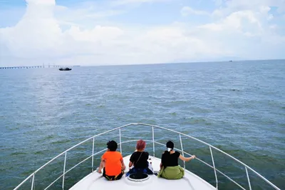 【雙節不打烊】打卡港珠澳大橋