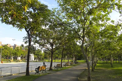 Daan Forest Park
