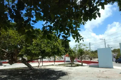 221 Park