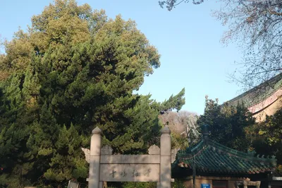 南京遊記之三——春風又綠江南岸