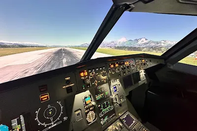 Flight Simulator #1