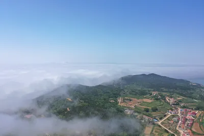 東北人都去哈仙島旅遊？因這裡景美人少，王老五家扇貝生蠔管夠吃