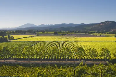 Napa Valley