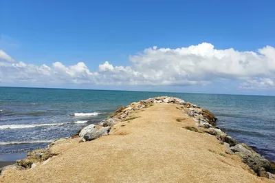 Lineal de Crespo Park