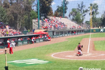 Baseball Stadium Fray Nano