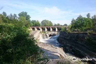 Hog's Back Park