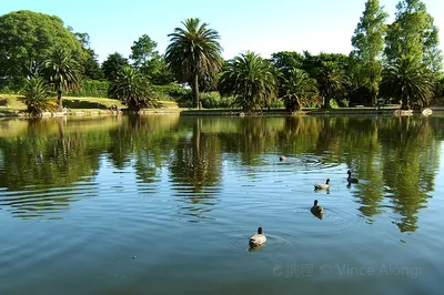 Rivera Park