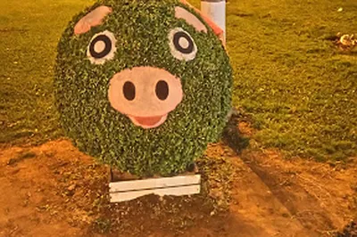 Plaza Cívica de Pro