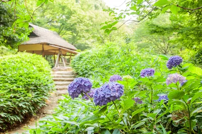 六義園
