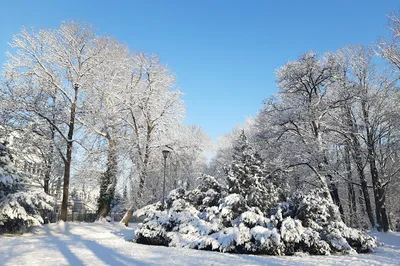 Marshal Edward Rydz-Śmigły Park