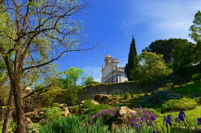 Botanical Garden of Rome