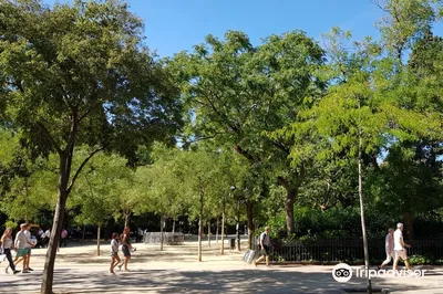 Parque Turo